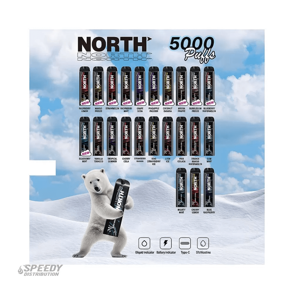 NORTH DISPOSABLE 5000 PUFFS