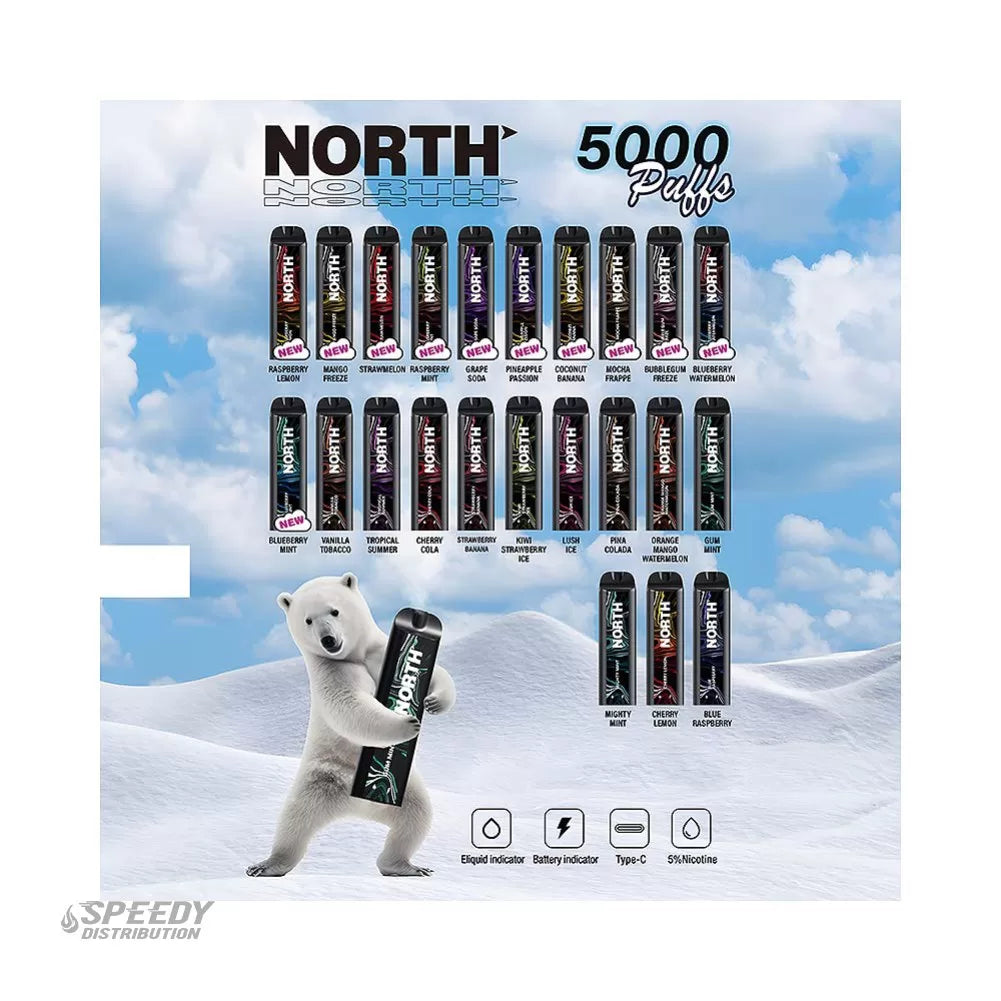 NORTH DISPOSABLE 5000 PUFFS - LEMON MINT